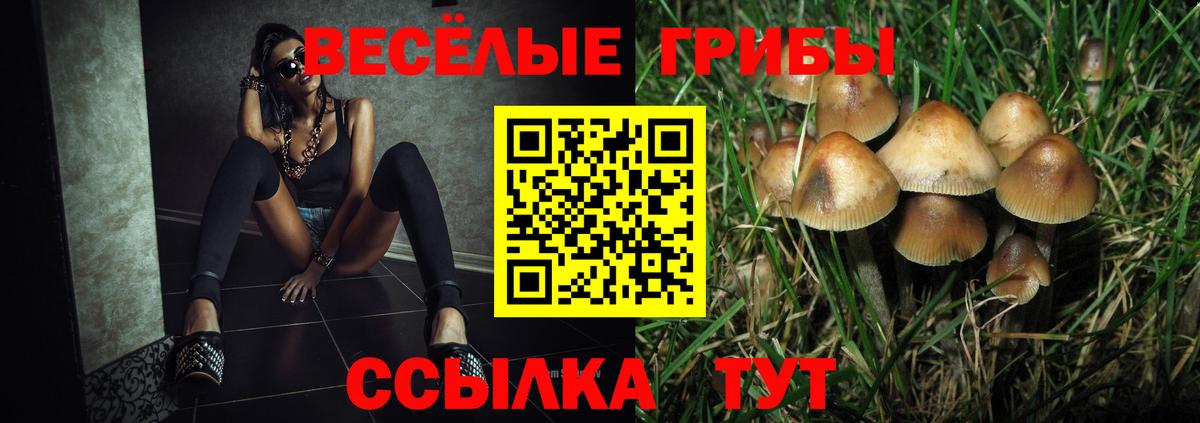 Галлюциногенные грибы Magic Shrooms Воронеж
