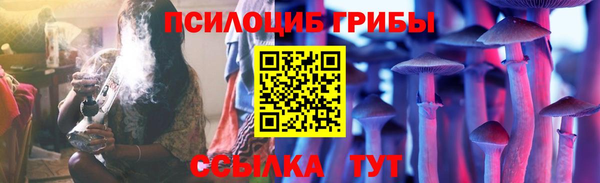 Псилоцибиновые грибы прущие грибы  Псилоцибиновые грибы ЛСД  Вход с VPN  Воронеж 
